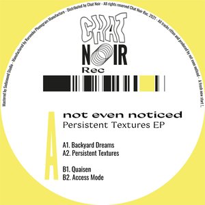 Persistent Textures
