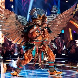 The Masked Singer: Hawk 的头像