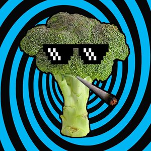Broccaloo 的头像