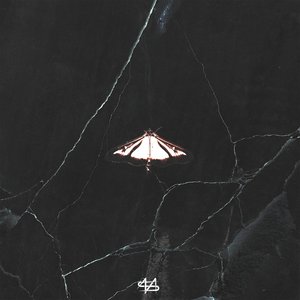 Luminous Butterfly