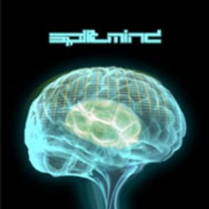 Brain Scan
