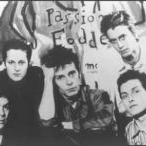 Passion Fodder photo provided by Last.fm