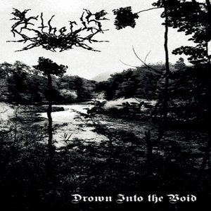 Drown Into The Void
