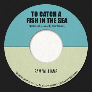 To Catch a Fish in the Sea