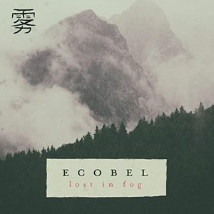 Lost in Fog