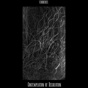 Contemplation of Dissolution