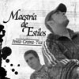 Maestria De Estilos 的头像