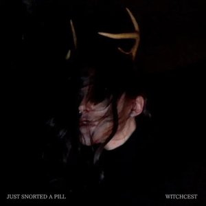 Just Snorted a Pill - Single
