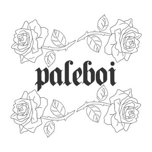 paleboi 的头像