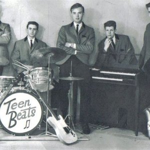 The Teen Beats 的头像