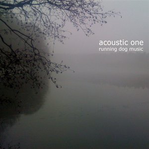 Acoustic One
