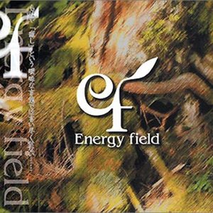 Energy field