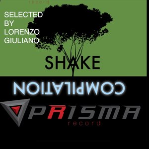 Shake Compilation Prisma Record (Selected By Lorenzo Giuliano)