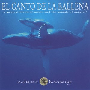 El Canto De La Ballena