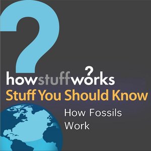How Fossils Work