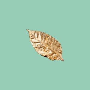 Celestial Spring - Single