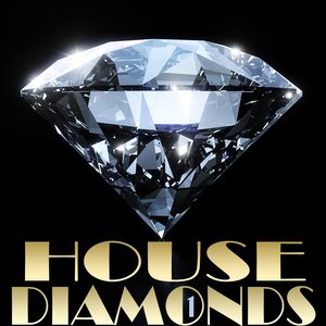 House Diamonds, Vol.1 (Best of Club and Disco House)