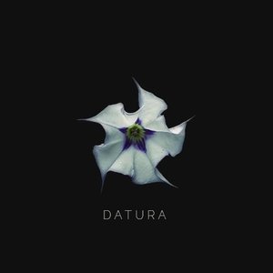DΛTURΛ 的头像