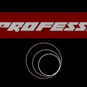 L Professor 的头像