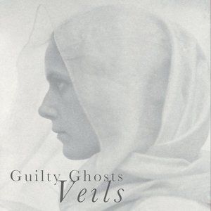 VEILS