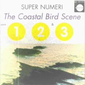 The Coastal Bird Scene Parts 1, 2 & 3