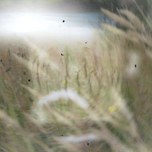 Wimp -as it is, fragmented, imperfect