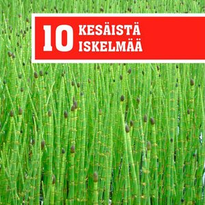 10 Kesäistä Iskelmää