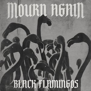 Black Flamingos - Single