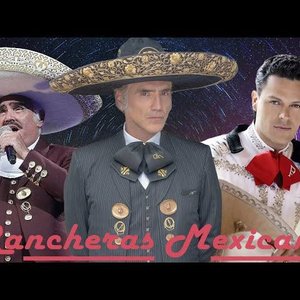 Alejandro Fernadez/Pedro Fernandez/Vicente Fernandes 的头像