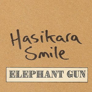 Elephant Gun