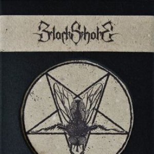 Music of the Flies