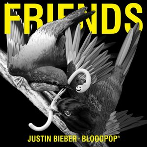 Justin Bieber, BloodPop® 的头像