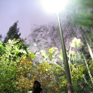 The Wallscenery Demos 的头像