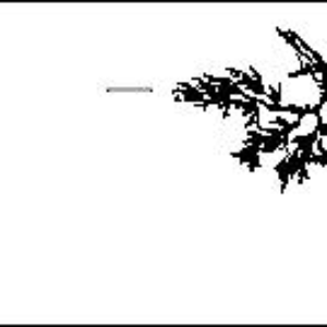 Bernd Schurer photo provided by Last.fm