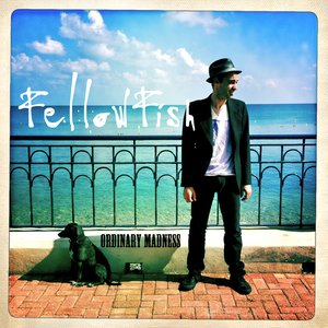 FellowFish 的头像