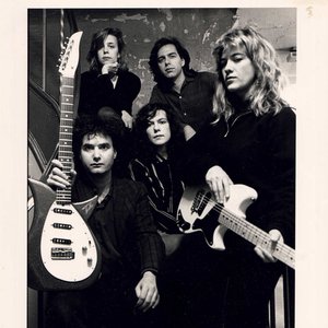 Band of Susans 的头像