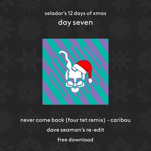 Never Come Back (Four Tet Mix) (Dave Seaman Re-Edit)