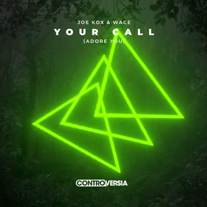 Twiig - Controversia By Alok Vol. 002 - Zortam Music