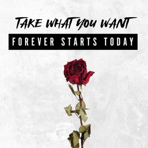 Take What You Want - Single