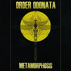 Order Odonata – Metamorphosis