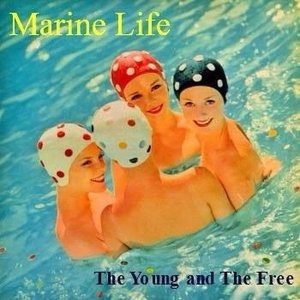 The Young and the Free