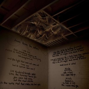 Imagen de 'Down From The Rafters Remixes'