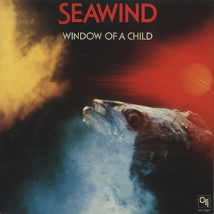 Window of a Child cover