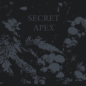 Secret Apex