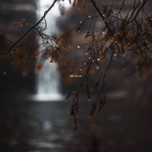 after the rain