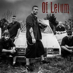 of letum 的头像