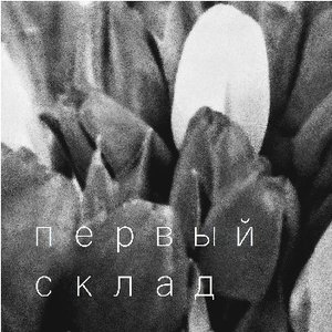 Первый склад 的头像