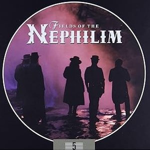5 Albums