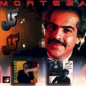 Morteza のアバター