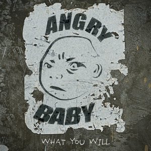 What You Will